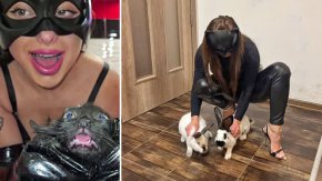 СГС отказа да пусне на свобода Г. Сашова и К. Георгиев, снимали как измъчват животни