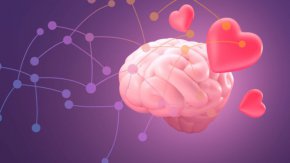 Защо любовта развива мозъка, а омразата го уврежда
