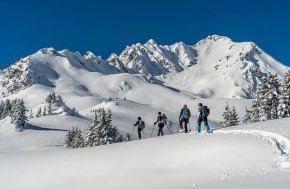 Френски ски курорт направи карането на ски БЕЗПЛАТНО 