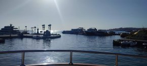  Соф. зам.-кмет лъсна по бикини 