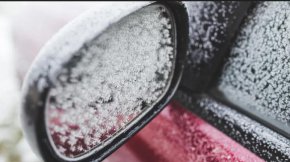 Майка на две деца загина, след като дърво падна върху колата им на Витоша 