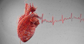 Сърдечните удари може да се причиняват от бактериални инфекции, установи революционно изследване