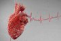 Сърдечните удари може да се причиняват от бактериални инфекции, установи революционно изследване