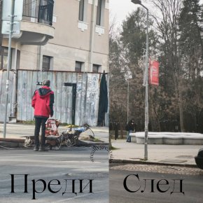  Разчистиха падналите клони в район Банкя