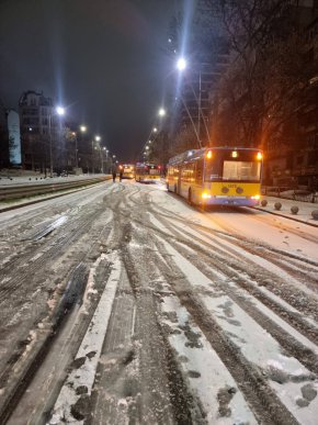 

В целия район Сердика снегопочистване няма, тролеите буксуват: Общински съветник