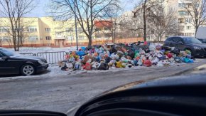 Над 5700 сигнала за боклука в София са подадени само за няколко месеца 