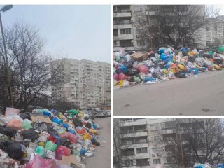   Люлин след 3 седмици БЕЗ ЧИСТЕНЕ: ФОТО НА ДЕНЯ 