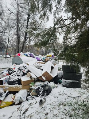   Райкметовете не сме виновни за боклука, Терзиев е: Д.Георгиев