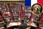 Франция засилва наказанията и действията срещу изоставянето на домашни любимци