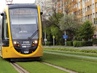   14 неща, които Тезиев само обеща да направи: Б. Бонев   