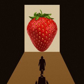    Първите ягоди били бели, не червени