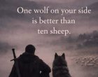 Един вълк на твоя страна е по-добър от десет овце