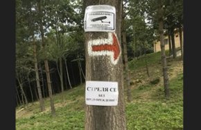  Защо Рашков закри РПУ в полза на "рейнджърите" от Петрохан (ДОКУМЕНТ)