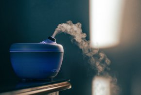 Ароматите по време на сън укрепват спомените за ново научено