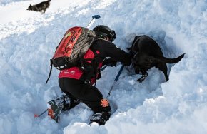 1 400 спасени на пистите: Как 53 планински патрули във френските Алпи спасяват животи при лавини