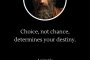 Изборът, а не случайността, определя твоята съдба