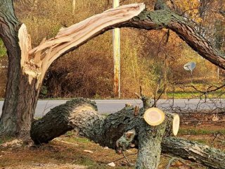 €61М: Нова скандална поръчка на кмета Терзиев