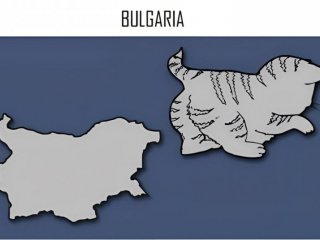 Земя като една котка: КАРТА НА ДЕНЯ 