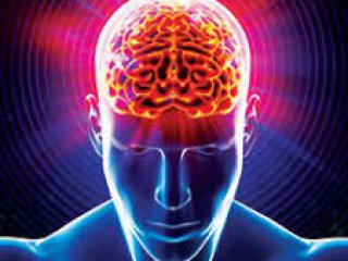 Как вярата намалява стреса като терапия и влияе дори физически на мозъка