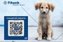 Fibank подкрепя кампанията „Сканирай лапата“ в защита на животните