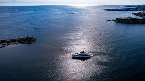 Царството Царево: ФОТО НА ДЕНЯ