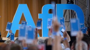 Немската AfD достига нов рекорд по популярност