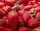 Колко ягоди на ден препоръчват лекарите?