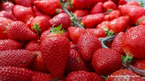 Колко ягоди на ден препоръчват лекарите?