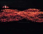 Село Българи отбелязва празника на Св. Константин и Елена с традиционните нестинарски игри