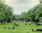  Планът за устройството на Борисовата градина ще бъде преработен
