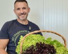  Над 2,2 млн. български салати и айсберг ще достигнат до клиентите на Kaufland през тази година