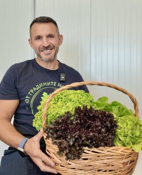  Над 2,2 млн. български салати и айсберг ще достигнат до клиентите на Kaufland през тази година