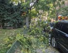 6-и ден след бурята Трайков и Терзиев още не са изчистили центъра при двойни цени за Титан/ВИС