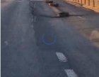 Терзиев ремонт в София: ВИДЕО НА ДЕНЯ