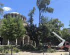   Трайков пак сече в сърцето на София  