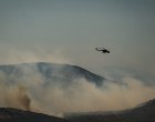 Климатичните промени „сваряват“ моретата около Европа, установиха учени