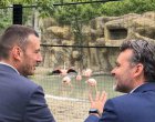 С розови фламинго срещу Петрохан: Кметът Терзиев