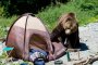 Мечки се оказаха в опасна близост до къмпингари край Локорско 