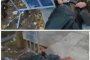 1 власт почне ли да бие, пиши я бЕгАла: Оставка на шефката на НС и боса на НСО ВЕДНАГА!