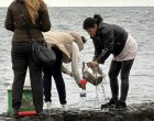 Контейнери с батерии и битова химия в морето край Шабла