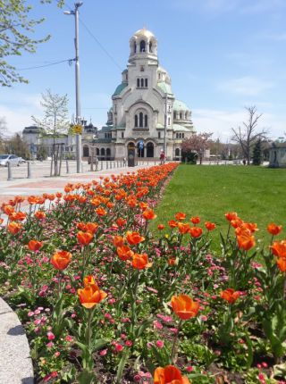  Красива великденска София