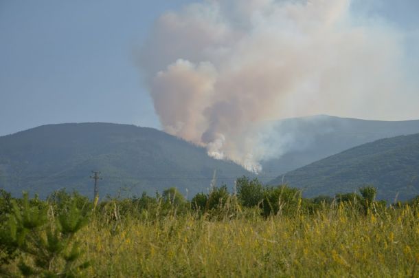 Пожарът на Витоша
