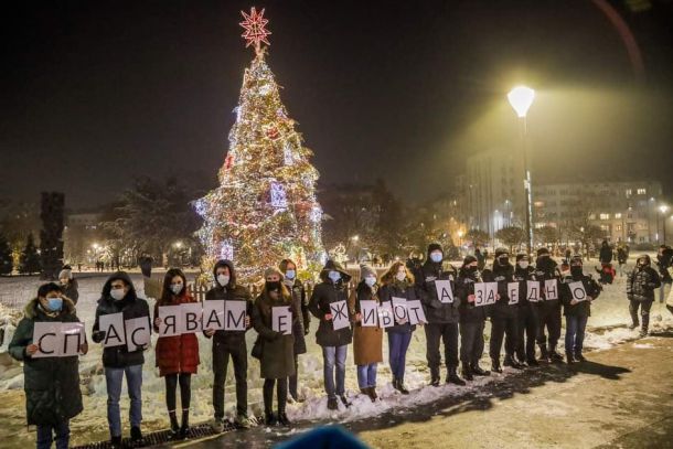 Грейна коледната елха на София