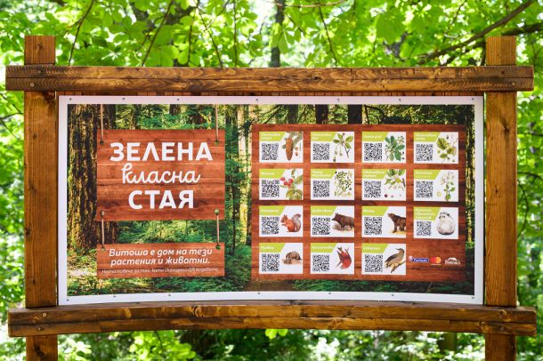 Зелена класна стая на Витоша от Пощенска банка и Mastercard 