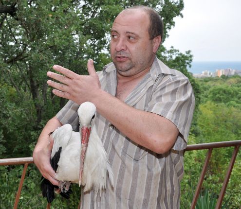 Щъркели се скриха от буря в природен парк Златни пясъци