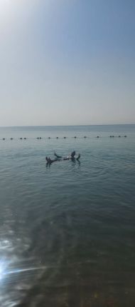 Мъртво море