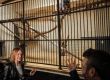 Софийският зоопарк отглежда два черни ягуара