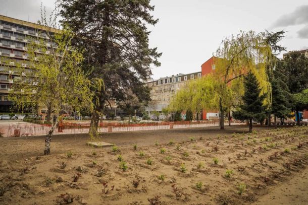 350 рози в обновената градина пред Рила