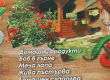 ДА! Меча салата и меча лапа в прекрасното ресторантче на Яна и Янек
