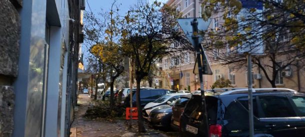  10-и ден дървеса пречат на хората дори в топцентъра